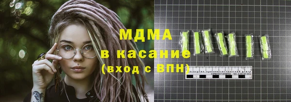 прущие грибы Инта