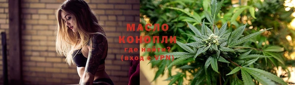 Альфа ПВП Инсар