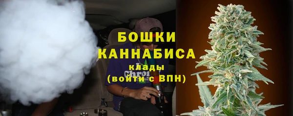 круглые Иннополис