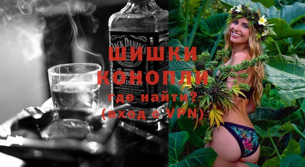 Альфа ПВП Инсар