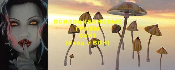 круглые Иннополис