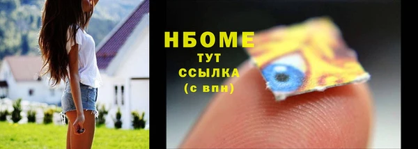 Альфа ПВП Инсар