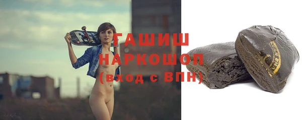 прущие грибы Инта