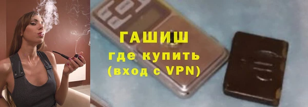 прущие грибы Инта