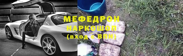 прущие грибы Инта
