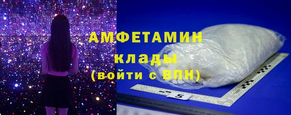 прущие грибы Инта
