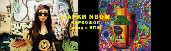 прущие грибы Инта