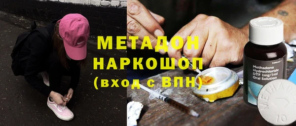 прущие грибы Инта
