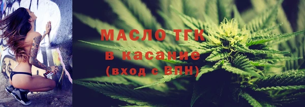 прущие грибы Инта