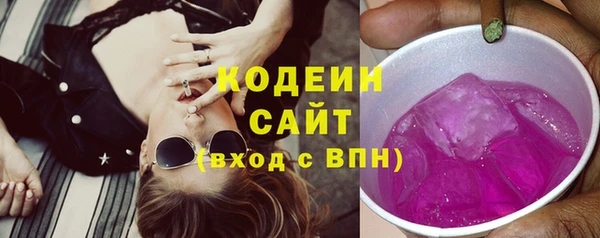 прущие грибы Инта