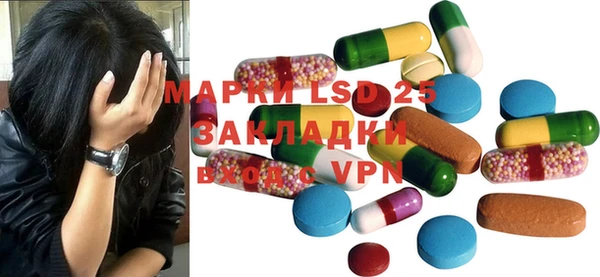 прущие грибы Инта