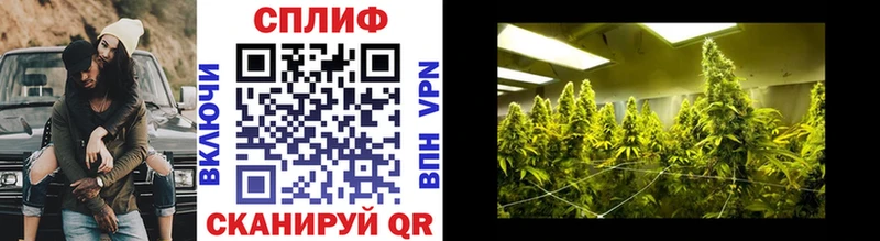 Конопля Ganja  Купить закладки  Катав-Ивановск 